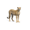 Cheetah 3D Model Animated PROmax3D - 4