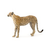 Cheetah 3D Model Animated PROmax3D - 7