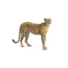 Cheetah 3D Model Animated PROmax3D - 8