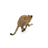 Cheetah 3D Model Animated PROmax3D - 11