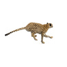 Cheetah 3D Model Animated PROmax3D - 12