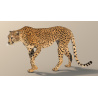 Rigged Cheetah 3D Model PROmax3D - 5