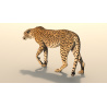 Rigged Cheetah 3D Model PROmax3D - 6