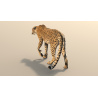 Rigged Cheetah 3D Model PROmax3D - 7