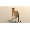 Rigged Cheetah 3D Model PROmax3D - 12
