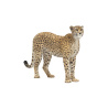 Rigged Cheetah Furry 3D Model PROmax3D - 2