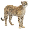 Rigged Cheetah Furry 3D Model PROmax3D - 1