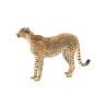 Rigged Cheetah Furry 3D Model PROmax3D - 7