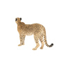 Rigged Cheetah Furry 3D Model PROmax3D - 8