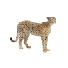 Rigged Cheetah Furry 3D Model PROmax3D - 11