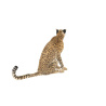 Rigged Cheetah Furry 3D Model PROmax3D - 13