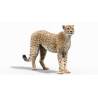 Rigged Cheetah Furry 3D Model PROmax3D - 19
