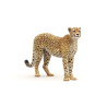 Rigged Cheetah Furry 3D Model PROmax3D - 20