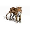 Rigged Jaguar 3D Model PROmax3D - 4