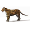 Rigged Jaguar 3D Model PROmax3D - 5
