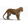 Rigged Jaguar 3D Model PROmax3D - 9