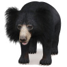 Sloth Bear 3D Model PROmax3D - 1