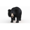 Sloth Bear 3D Model PROmax3D - 2