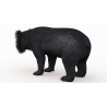 Sloth Bear 3D Model PROmax3D - 3