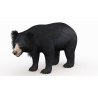 Sloth Bear 3D Model PROmax3D - 4