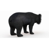 Sloth Bear 3D Model PROmax3D - 5