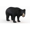 Sloth Bear 3D Model PROmax3D - 6