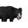 Sloth Bear 3D Model PROmax3D - 9