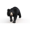 Sloth Bear 3D Model Animated PROmax3D - 2