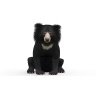Sloth Bear 3D Model Animated PROmax3D - 3