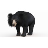 Sloth Bear 3D Model Animated PROmax3D - 8