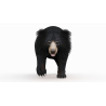 Sloth Bear 3D Model Animated PROmax3D - 9
