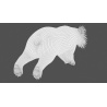 Sloth Bear 3D Model Animated PROmax3D - 13