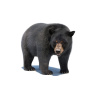 Black Bear Animated Fur Advanced 3D Model PROmax3D - 2