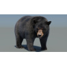 Black Bear Animated Fur Advanced 3D Model PROmax3D - 3