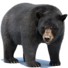 Black Bear Animated Fur Advanced 3D Model PROmax3D - 1