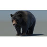 Black Bear Animated Fur Advanced 3D Model PROmax3D - 4