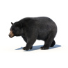 Black Bear Animated Fur Advanced 3D Model PROmax3D - 5