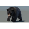 Black Bear Animated Fur Advanced 3D Model PROmax3D - 6