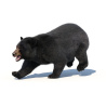 Black Bear Animated Fur Advanced 3D Model PROmax3D - 7
