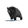 Black Bear Animated Fur Advanced 3D Model PROmax3D - 10