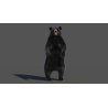 Black Bear Animated Fur Advanced 3D Model PROmax3D - 12