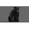Black Bear Animated Fur Advanced 3D Model PROmax3D - 18