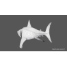 Animated Great White Shark 3D Model