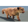 Kinkajou Furry 3D Model Animated PROmax3D - 3