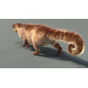 Kinkajou Furry 3D Model Animated PROmax3D - 6