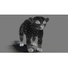 Kinkajou Furry 3D Model Animated PROmax3D - 12