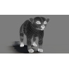 Kinkajou Furry 3D Model Animated PROmax3D - 14