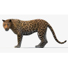 Leopard 3d Model Animated PROmax3D - 7