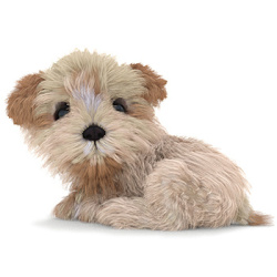 Maltipoo Dog 3D Models for Download | PROmax3D